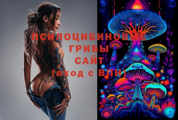 синтетический гашиш Киреевск