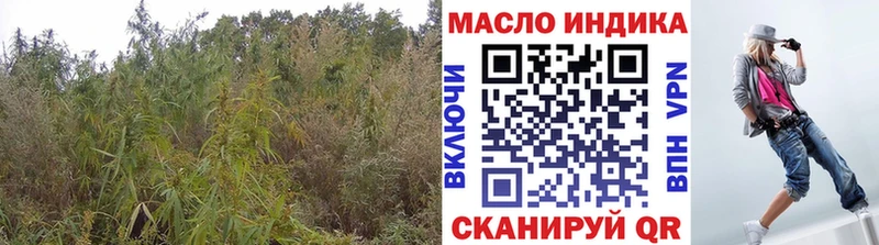 закладки  Ишим  даркнет официальный сайт  Дистиллят ТГК концентрат 