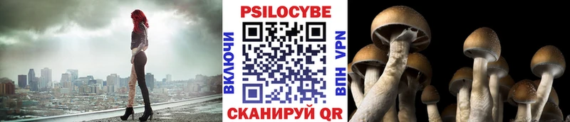 дарнет шоп Ишим Псилоцибиновые грибы мицелий