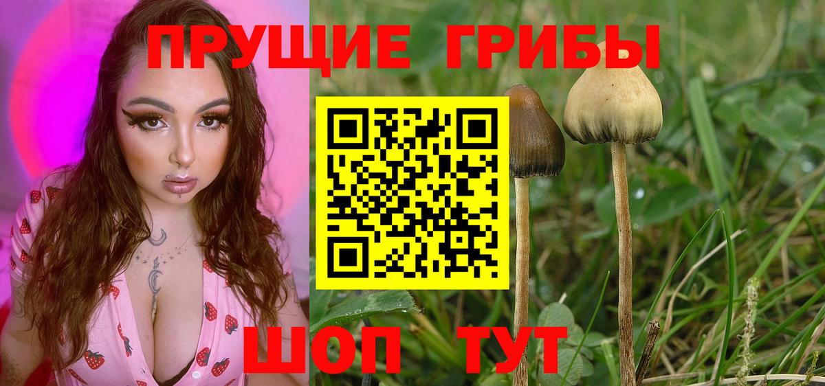 Галлюциногенные грибы GOLDEN TEACHER Ишим