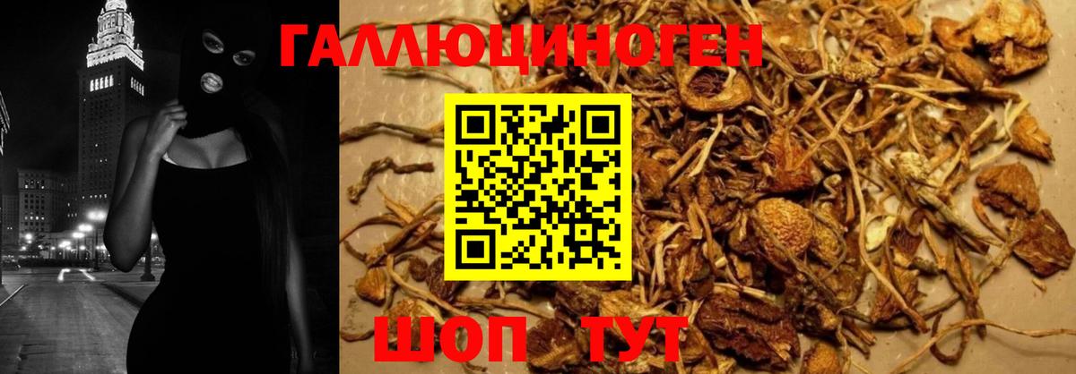 Псилоцибиновые грибы Psilocybe  Галлюциногенные грибы прущие грибы  Вход с VPN  Ишим 